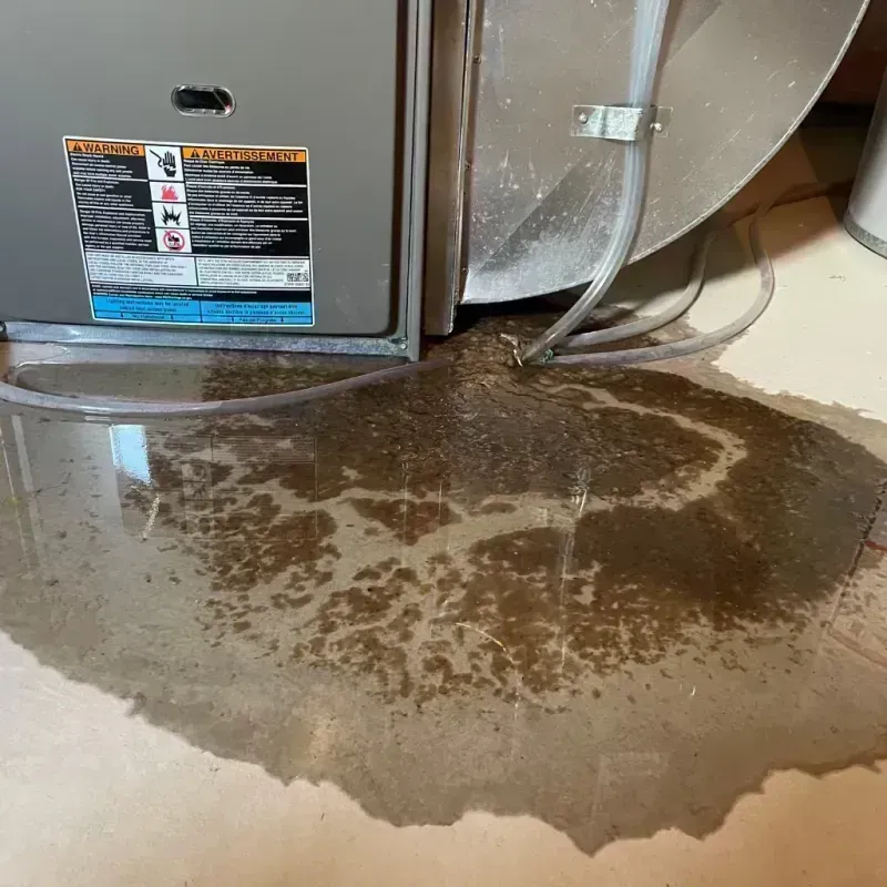 Appliance Leak Cleanup in Macon, MO